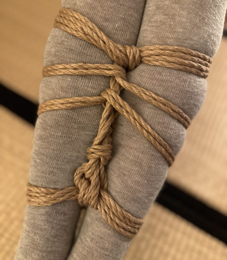 Kinbaku Shibari Fesseln